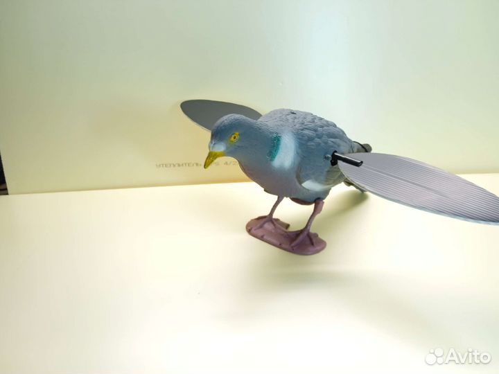 Махокрыл чучела голубей, уток