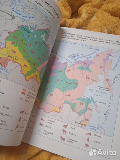 Рабочие тетради 4 класс окружающий мир