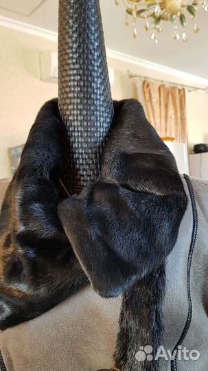 Belucci дубленка натуральная 44/46