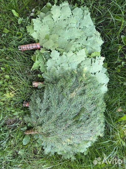 Пихта свежее-замороженная