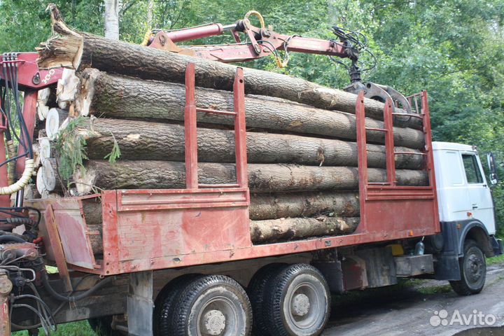 Пиловочник осина
