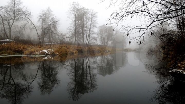 Участок 20 сот. (СНТ, ДНП)