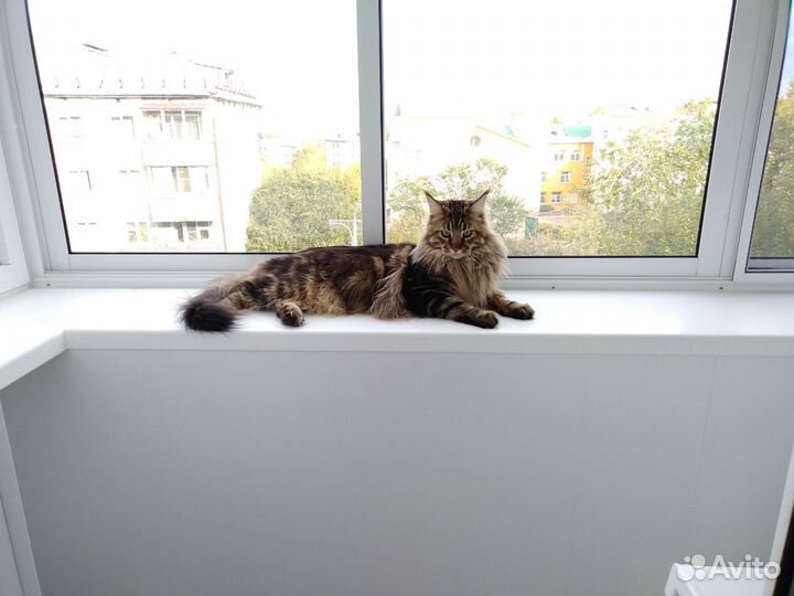 Ремонт окон и дверей пвх + установка окон