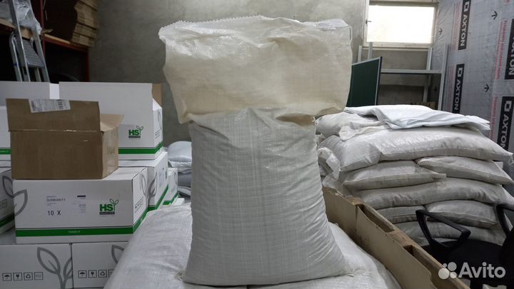 Свекла кормовая