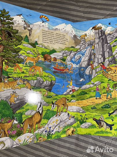 Детские книги виммельбух