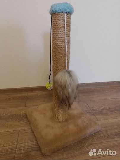 Когтеточка