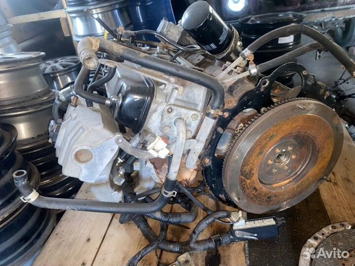 Двигатель Great Wall Safe внедорожник 2.2 491QE