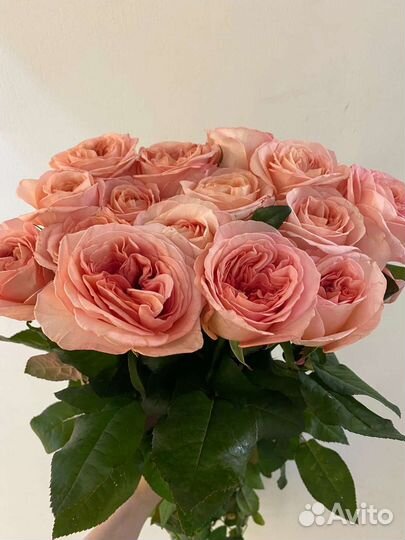 Цветы розы букет