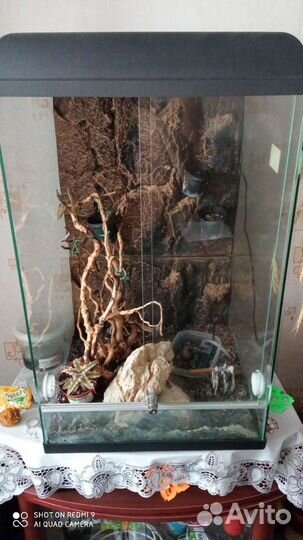 Террариум для рептилий