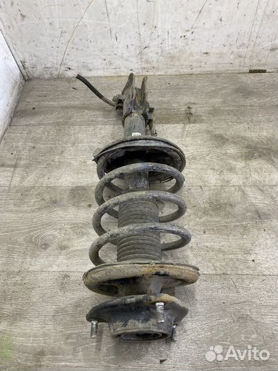 Амортизатор передний правый Hyundai Elantra