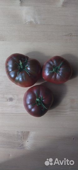 Семена помидор