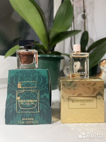 Миниатюры Dolce&Gabbana and Burberry