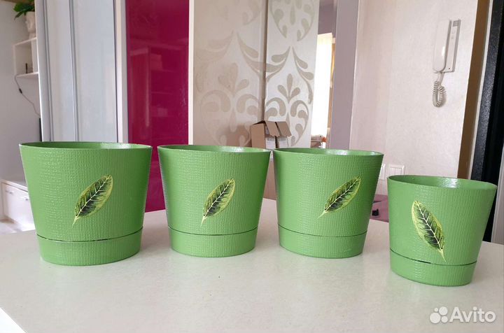 Комнатные цветы и горшки