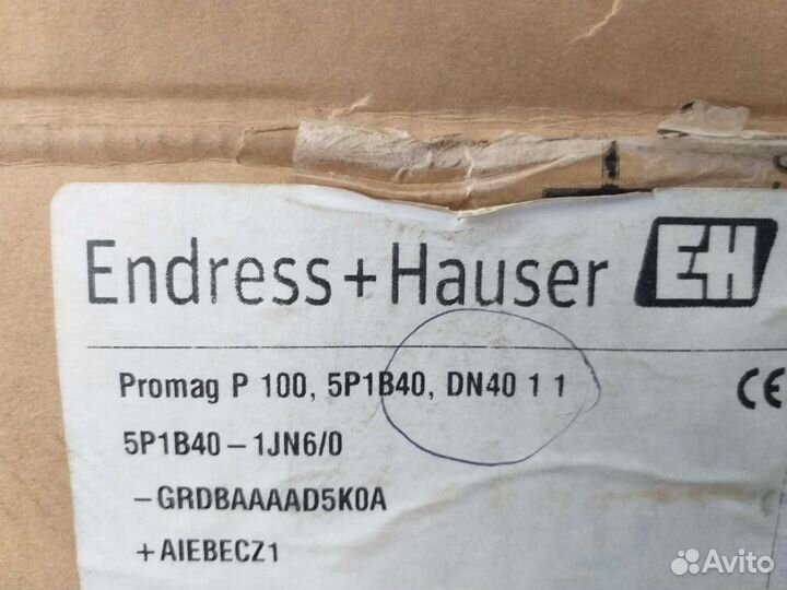 Расходомер Endress+Hauser Promag P100