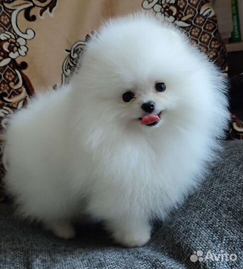 Белоснежная помочка