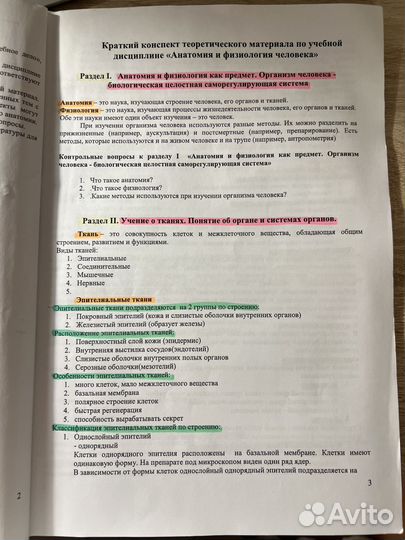 Конспекты по анатомии