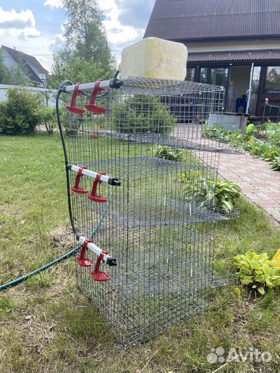 Клетки для кур