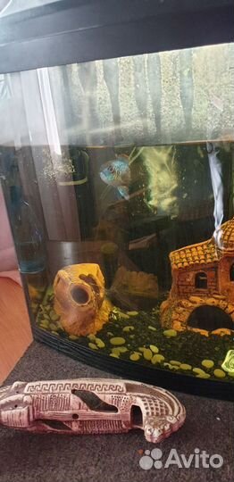 Аквариум