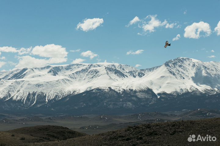 Индивидуальные авторские туры на Алтае