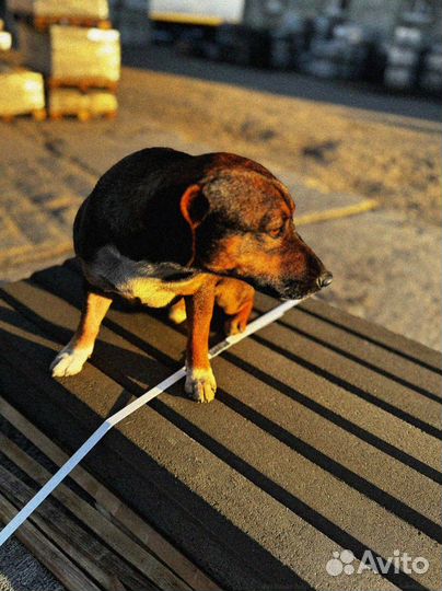 Брусчатка с доставкой