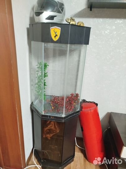 Аквариум с тумбой