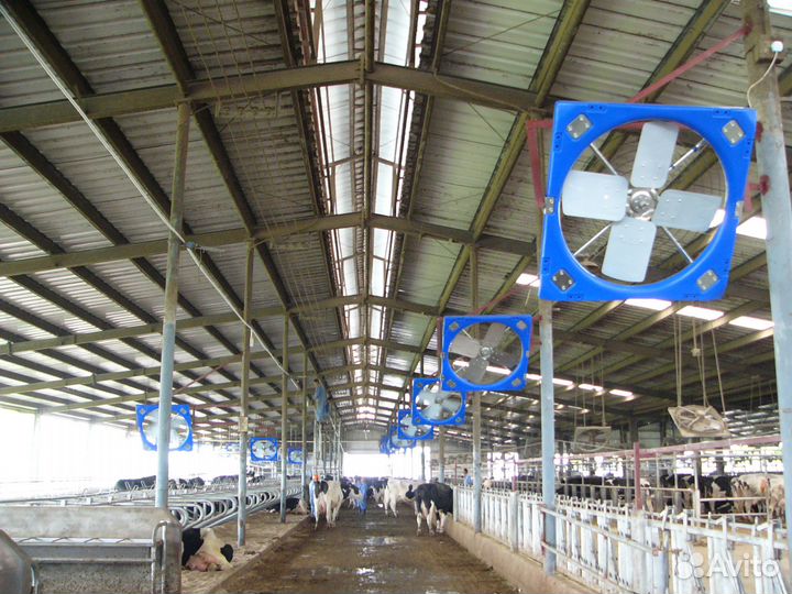 Вентиляторы для крс ферм разгонные вентиляторы