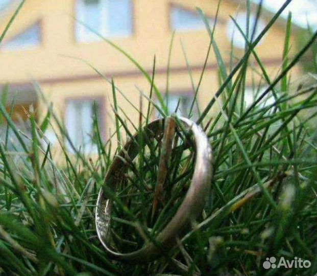 Поиск потерянных вещей металлоискателем