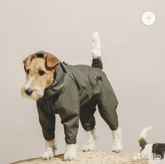 Комбенизон для собак hunting pony