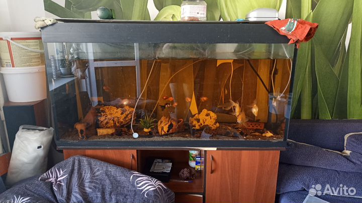 Аквариум с тумбой 400 литров и внешним фильтром
