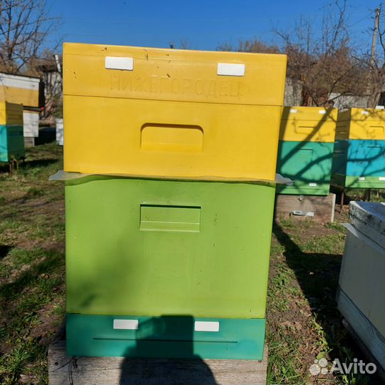 Ульи ппу нижегородец