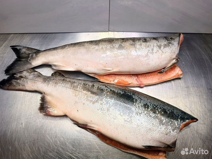 Красная Рыба Лосось