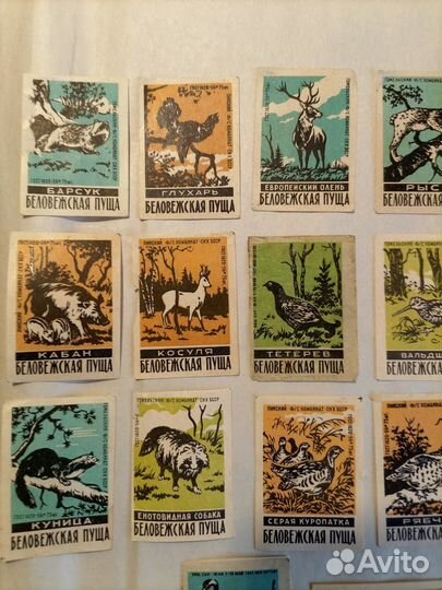Спичечные этикетки СССР. Беловежская пуща