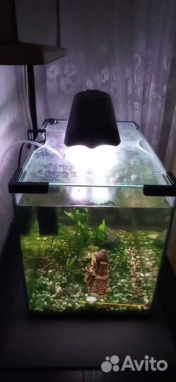 Аквариум 30л