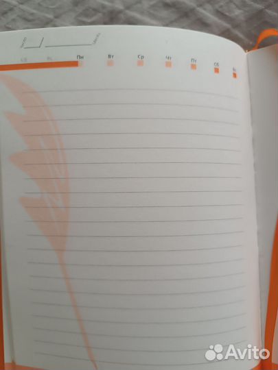 Ежедневник недатированный