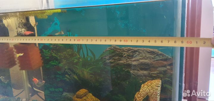 Аквариум с рыбками