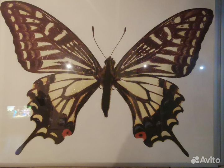 Интерьерная картина