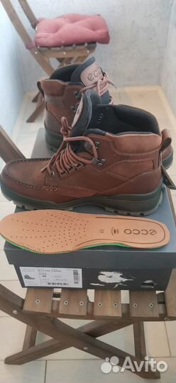 Ecco track 25