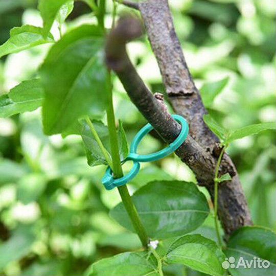 Зажим для растений, клипса, подвязка помидор