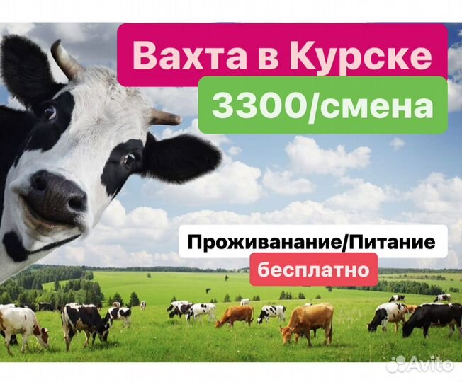 Вахта с оплатой проезда мясокомбинат грузчик