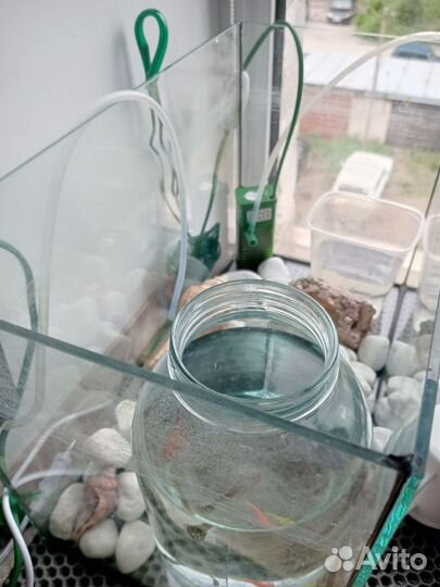 Аквариум с рыбками бу