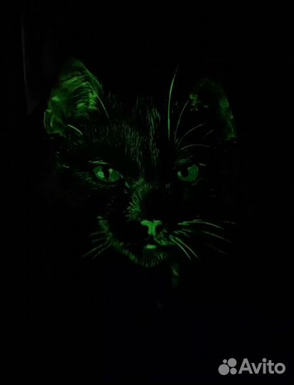 Футболка женская р-ы: 48, 50, 52 светящийся принт