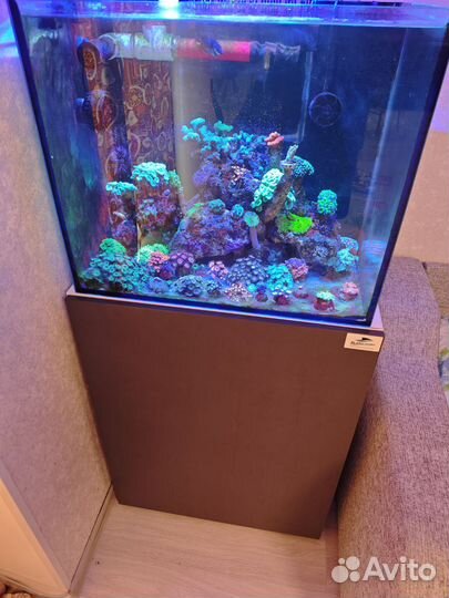 Продаётся аквариум с сампом,тумбой,гидравликой