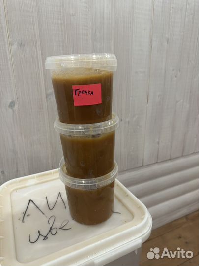 Мед гречишный 2023