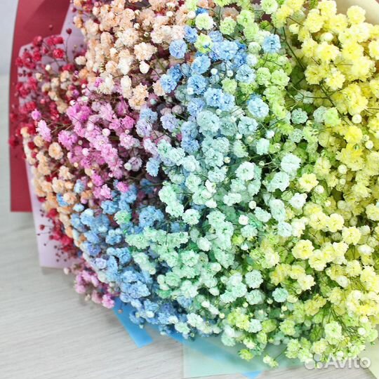 Букет из гипсофилы Градиент