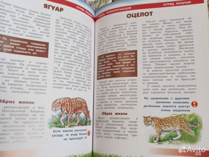 Детская энциклопедия Животные