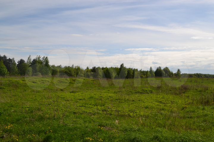 Участок 8 сот. (СНТ, ДНП)