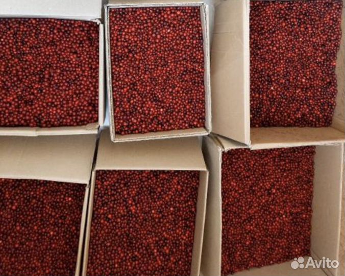 Брусника ягода