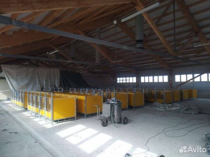 Боксы для телят (крс)