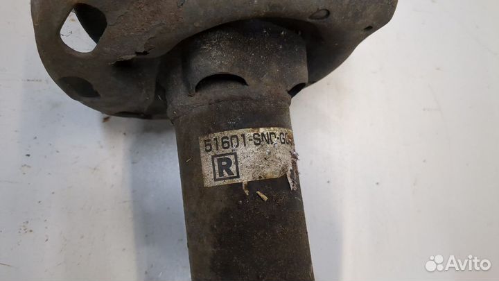 Амортизатор подвески Honda Civic, 2008