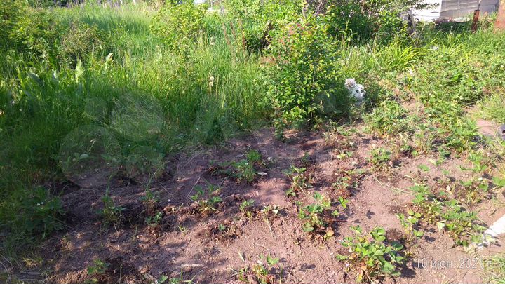 Участок 6 сот. (СНТ, ДНП)